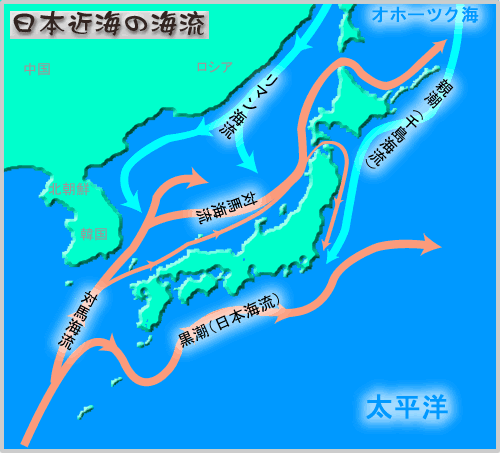 日本近海の海流
