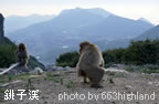 銚子渓・お猿の国
