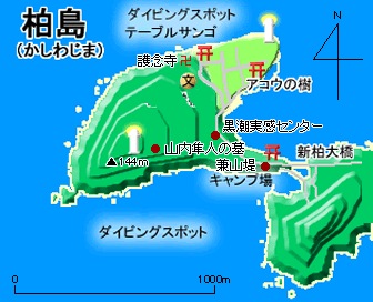 柏島地図