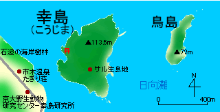 幸島地図