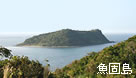鷹島から見た魚固島