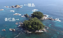 椿島