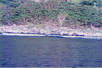 北硫黄島の海岸