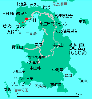 父島地図