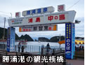勝浦港の観光桟橋