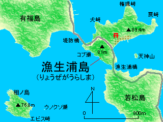 漁生浦島図